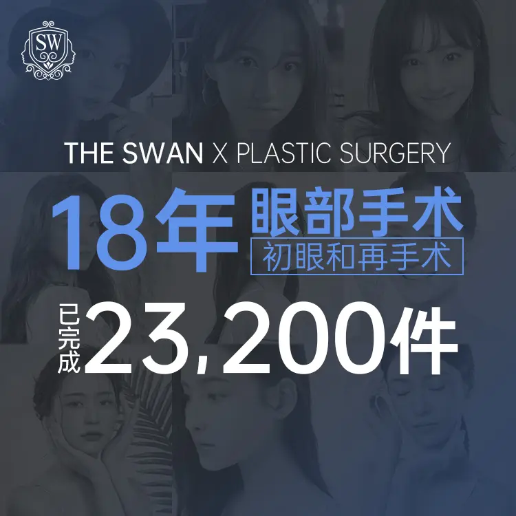 The Swan整形外科