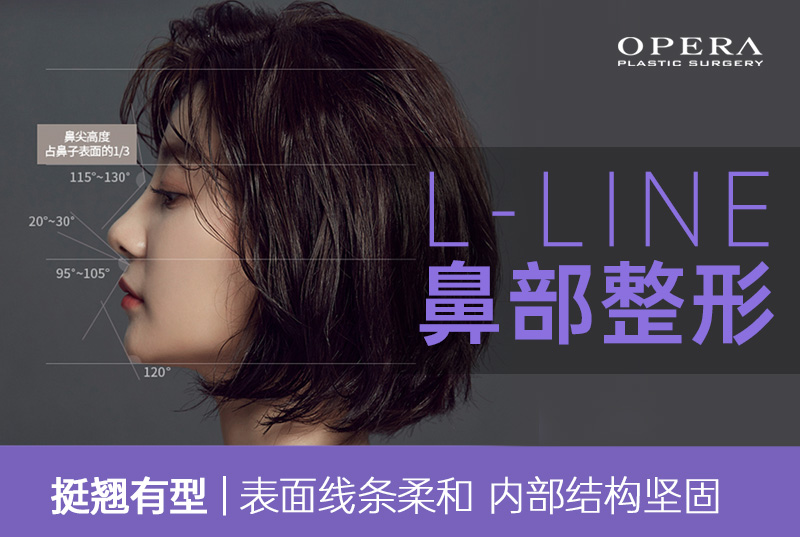 【L-LINE鼻部整形】挺翘有型 | 表面线条柔和 内部结构坚固 