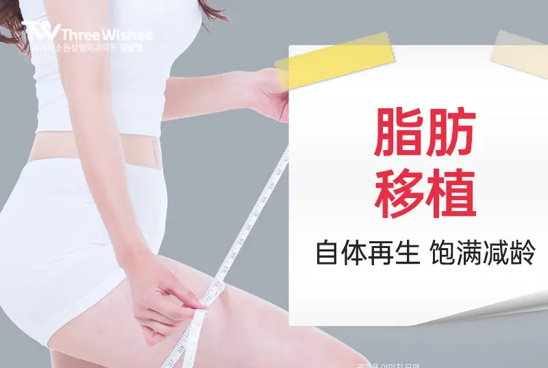 【脂肪移植】 自体再生 饱满减龄