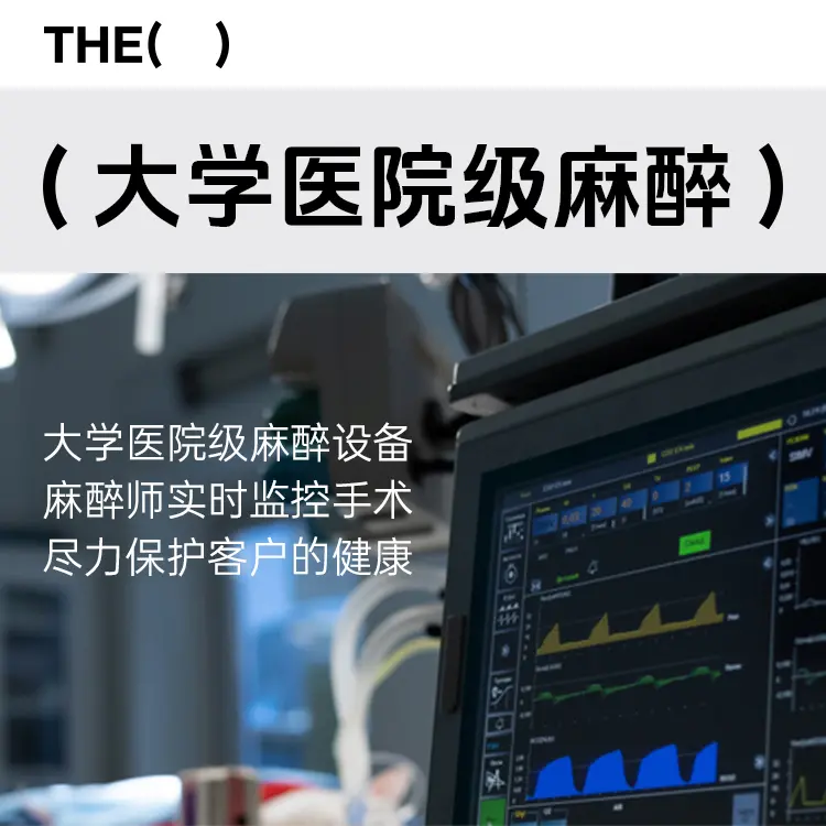 THE整形外科