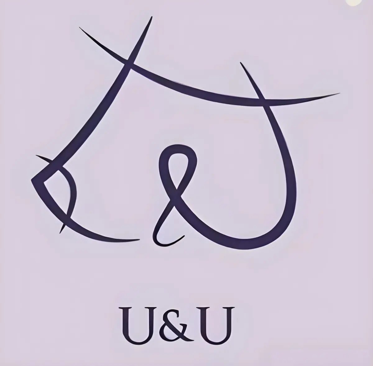u&u整形外科