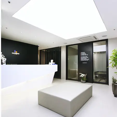 lico 整形外科