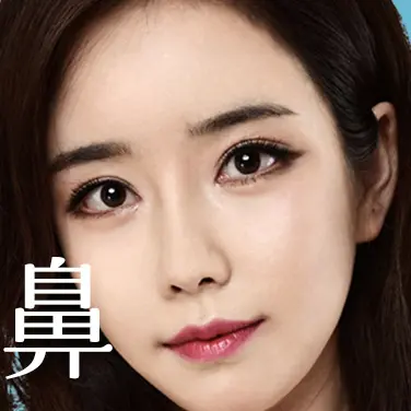 鼻部雕刻