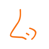 假体隆鼻