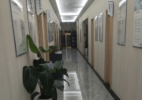 郑州碧莲盛植发