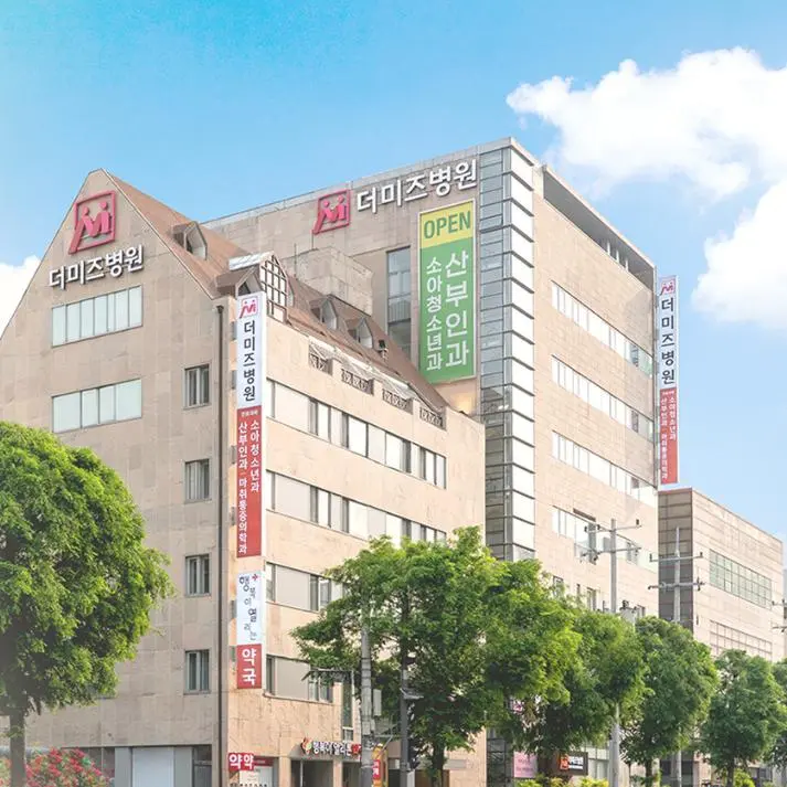 首尔米兹医院