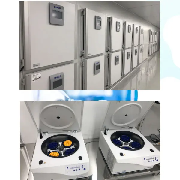 EHL Cell医院