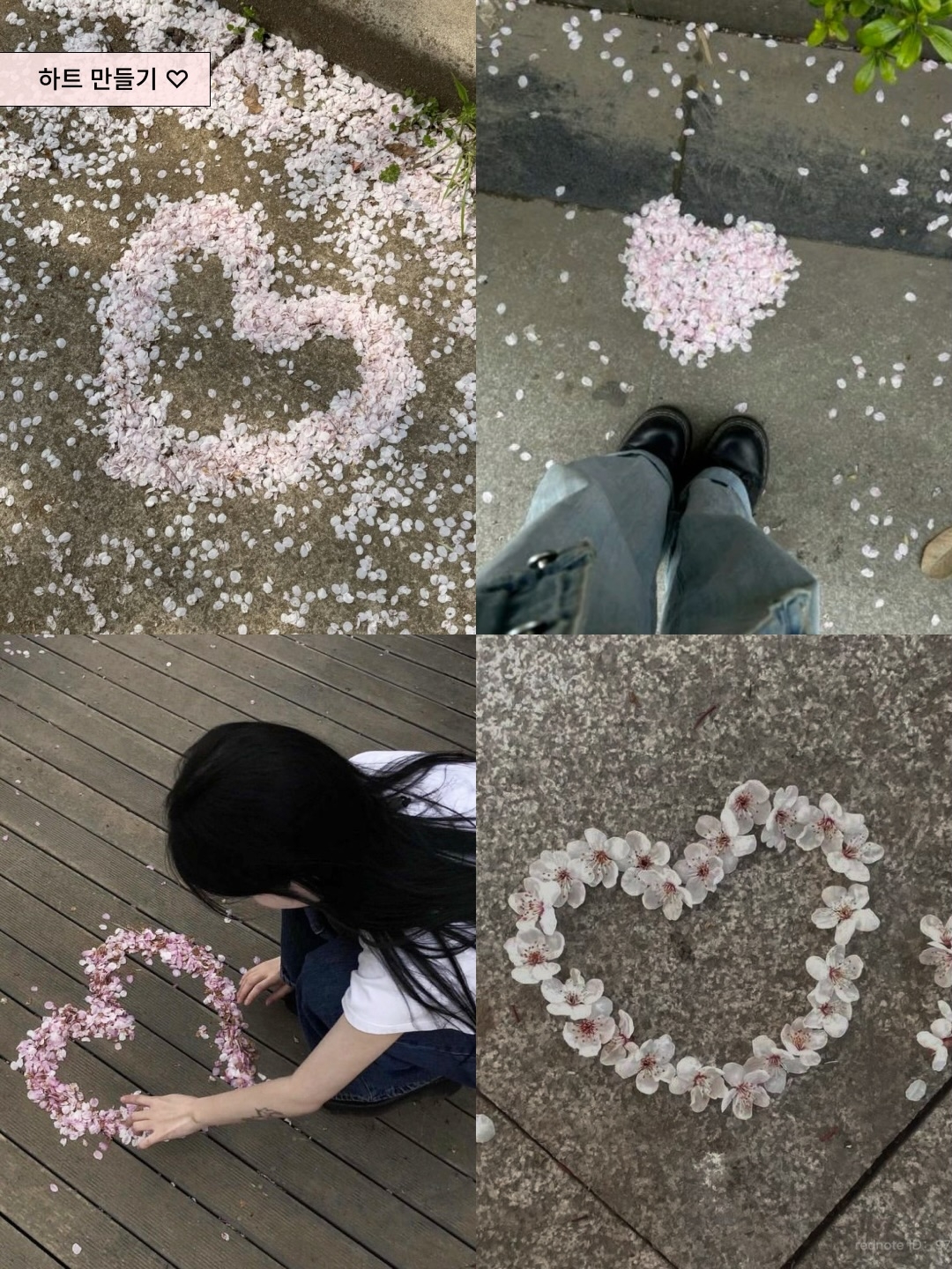 🌸韩国现在超火的ins风樱花照，都这样拍！