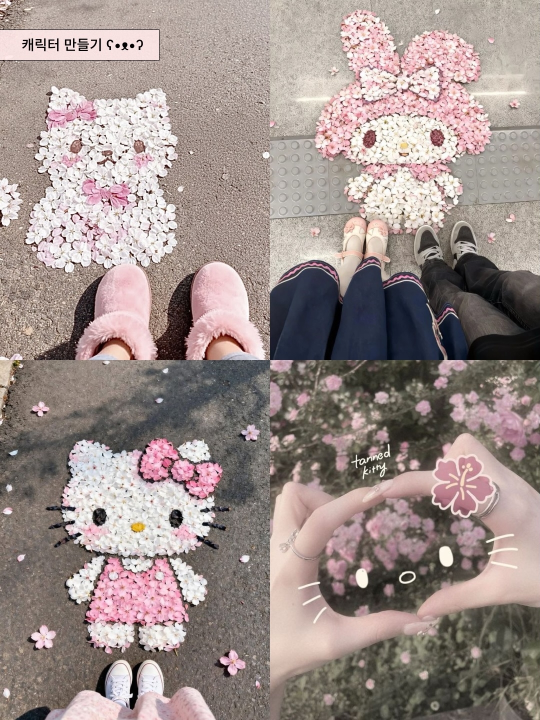 🌸韩国现在超火的ins风樱花照，都这样拍！