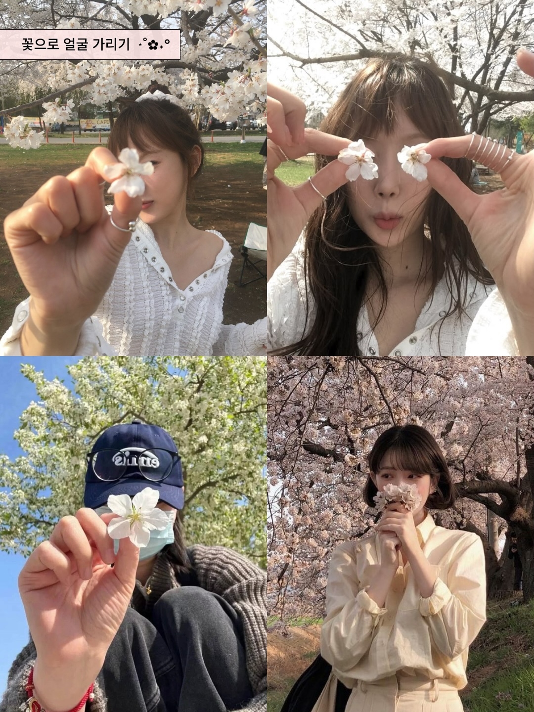 🌸韩国现在超火的ins风樱花照，都这样拍！
