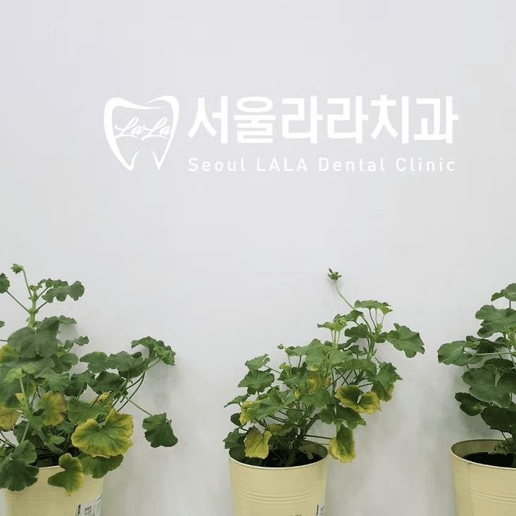 首尔啦啦牙科