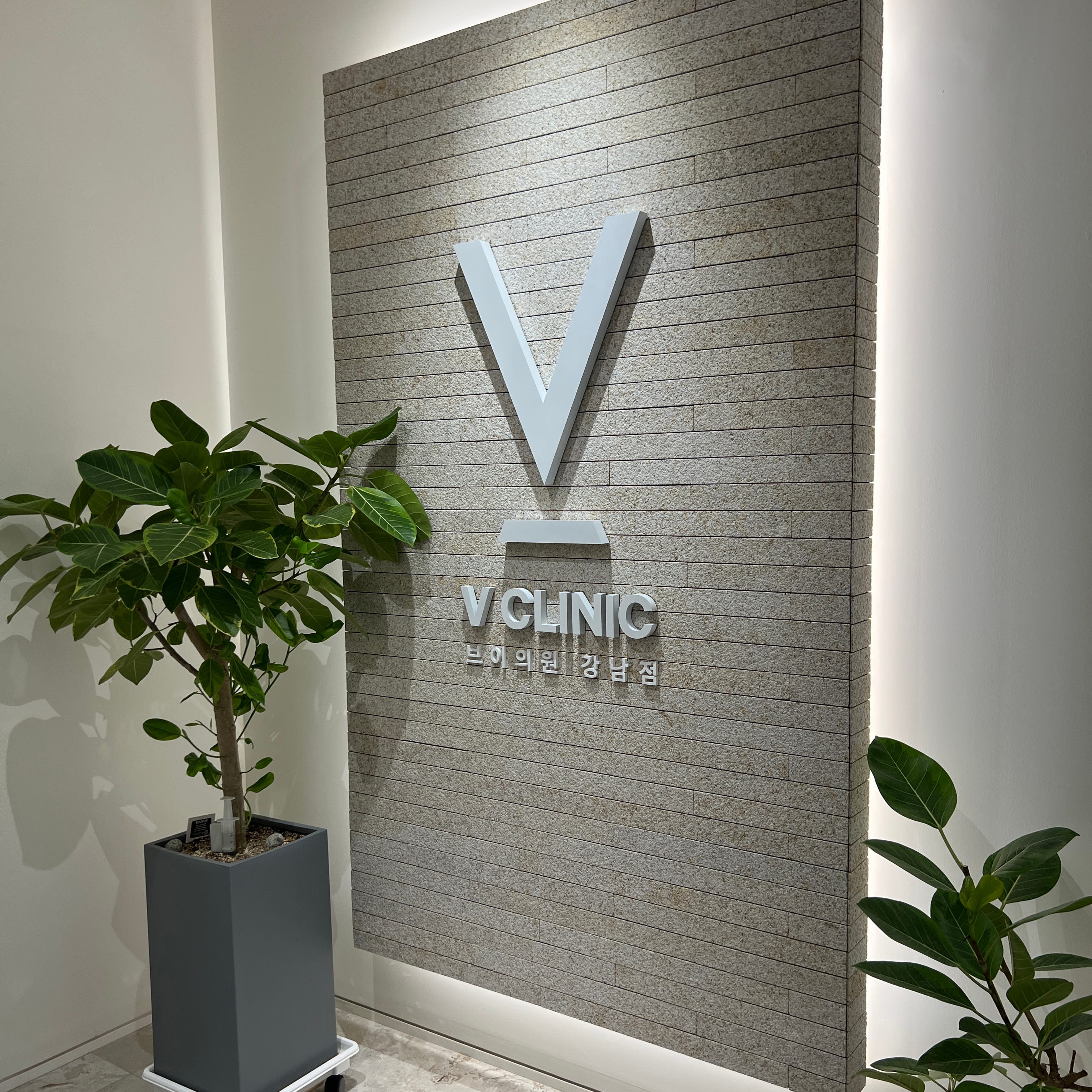 강남 V 피부과