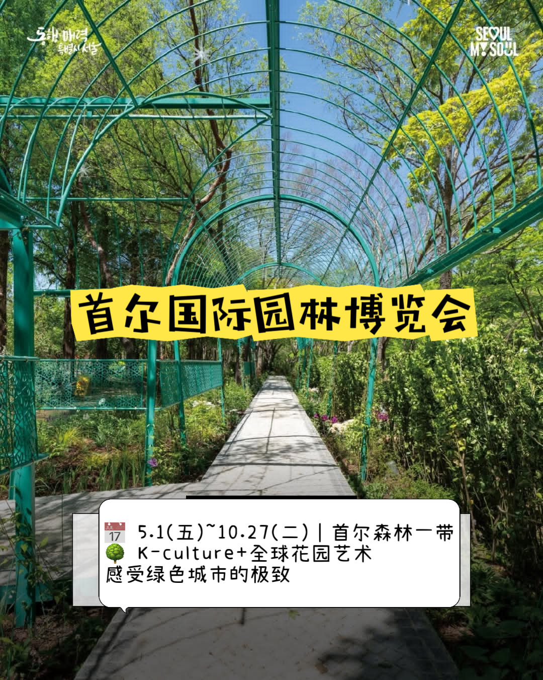 🌿6月首尔必去活动合集！书展、音乐节、无人机秀...夏天这样玩才够味