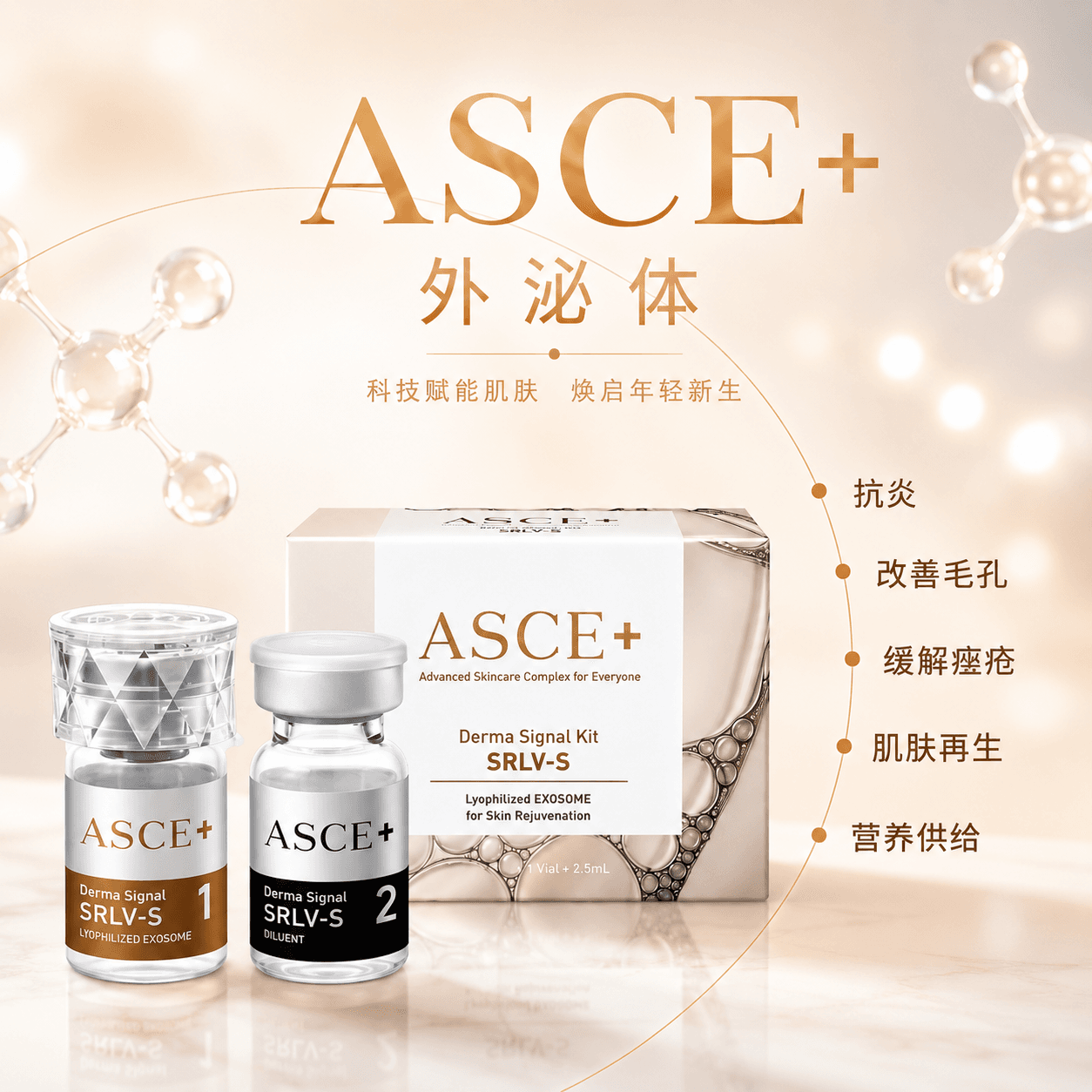 Cell Exosome细胞外泌体