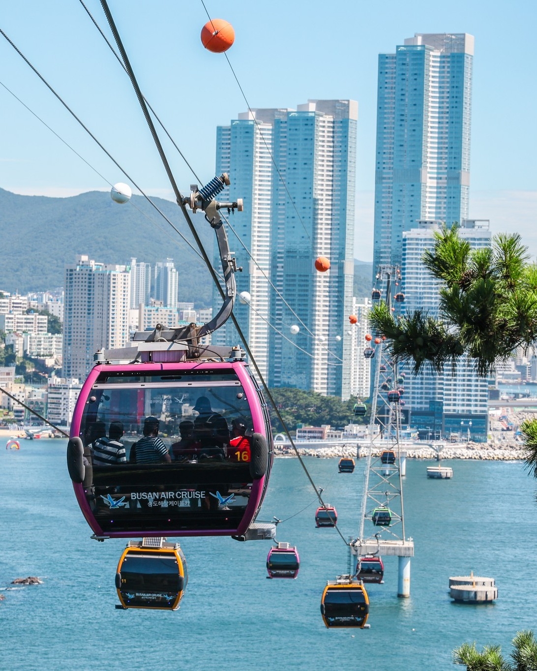 🎶6月釜山｜看完演唱会别急着走！这7种玩法比舞台还炸 🌊🚌