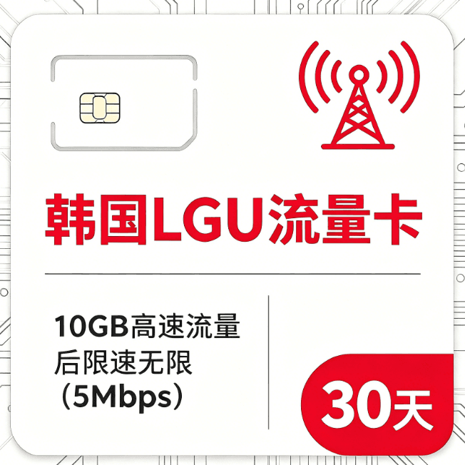 10GB高速データプラン 30日間