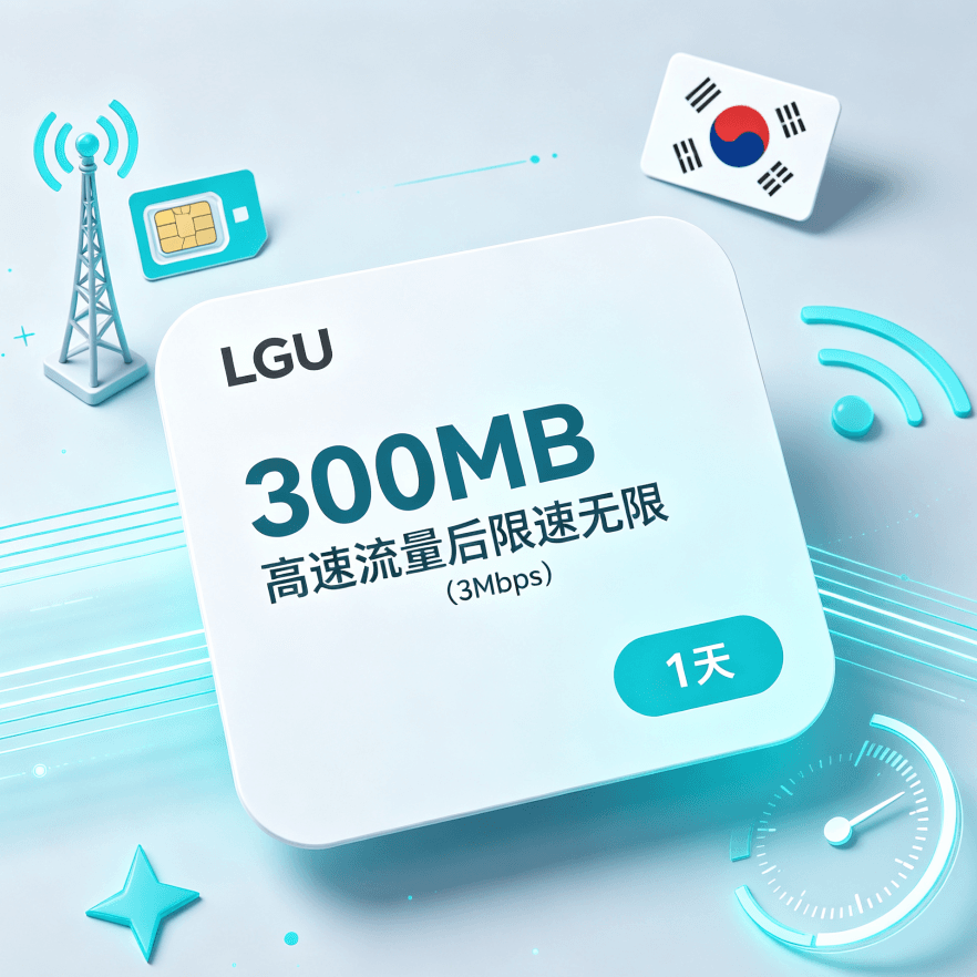 300MB高速データプラン1日間