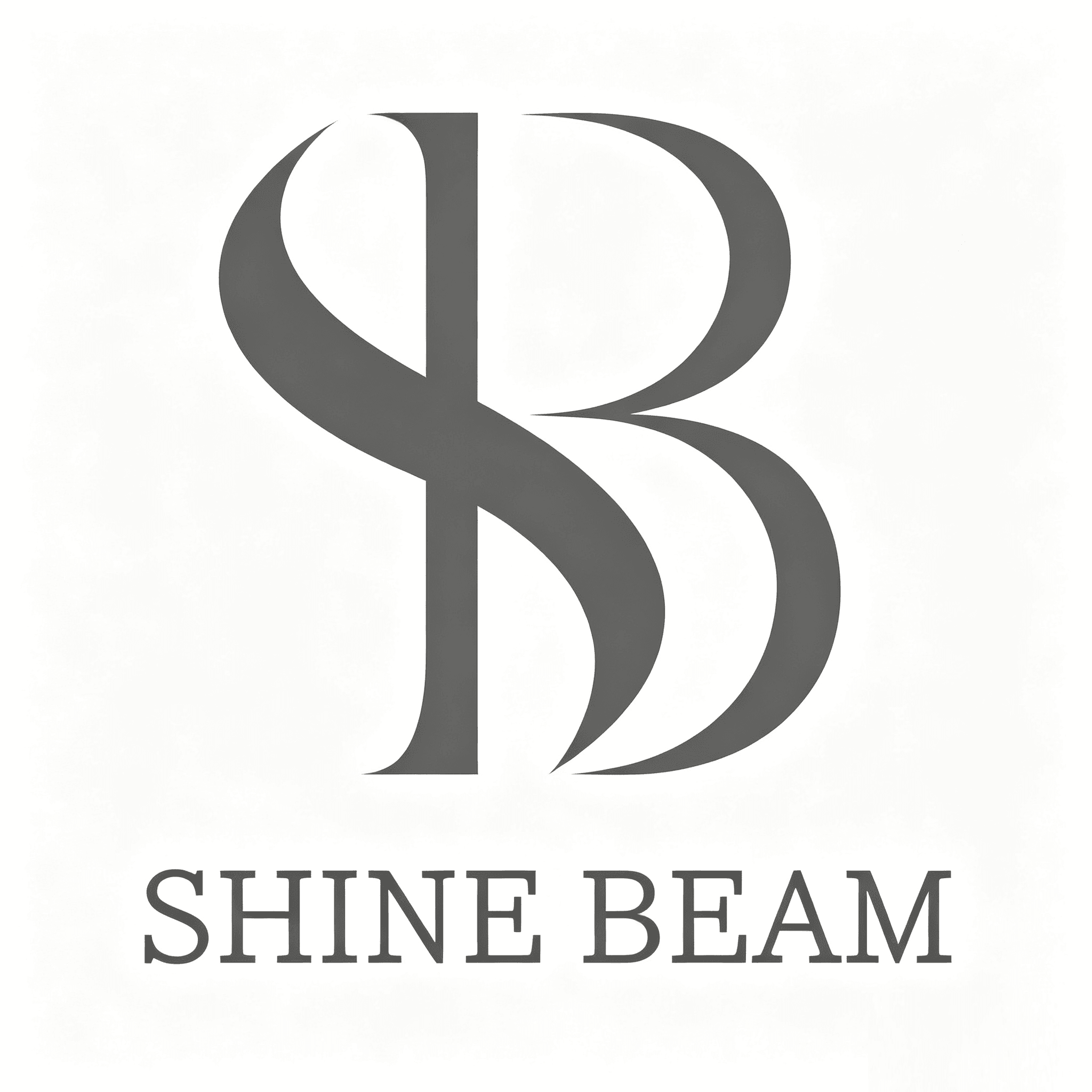 shine beam 大田分店