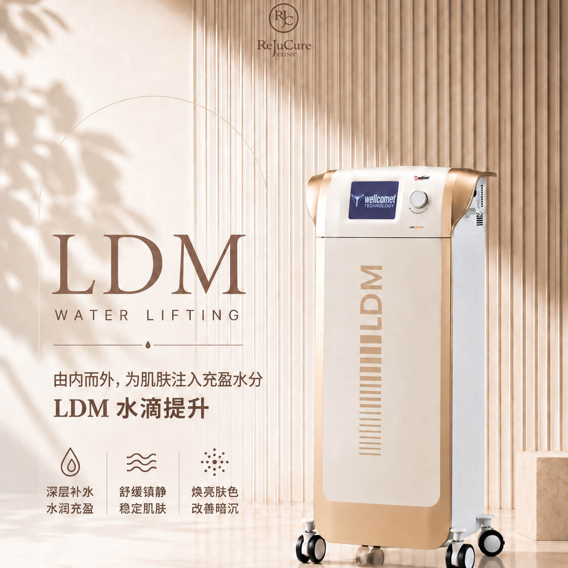 ldm